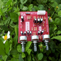 Mạch Echo REVERB (Vang rời DSP) 