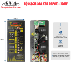 BỘ MẠCH LOA KÉO 100W REVERB DSP8 - 15X35CM - MẪU ĐỨNG - MỚI