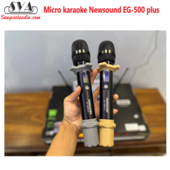 MICRO KHÔNG DÂY CAO CẤP NEWSOUND EG500 PLUS