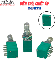 Biến Trở Chiết áp 12 chân 100K (Xanh) B503 - Chiếc