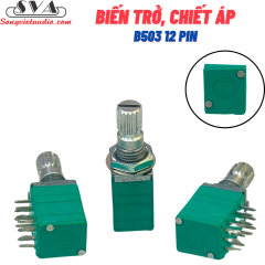 Biến Trở Chiết áp 12 chân 100K (Xanh) B503 - Chiếc
