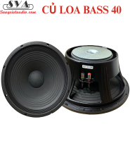 CỦ LOA BASS 40 COIL 75 TỪ 190 - BASS THÁI - chiếc