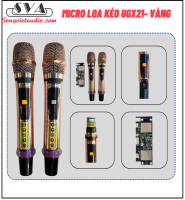 MICRO KHÔNG DÂY LOA KÉO THÂN NHÔM - VÀNG BÓNG