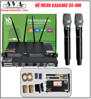 MICRO KHÔNG DÂY CAO CẤP NEWSOUND DX-580