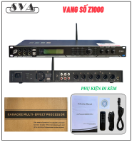VANG SỐ BS Z1000 VANG SỐ BS Z1000