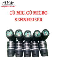 CỦ MIC, CỦ MICRO SENNHEISER
