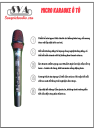 Micro Karaoke Ô tô Bắt sóng FM Micpro A6