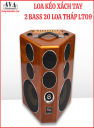 LOA KÉO XÁCH TAY  2 BASS 20 - LOA THÁP LT09
